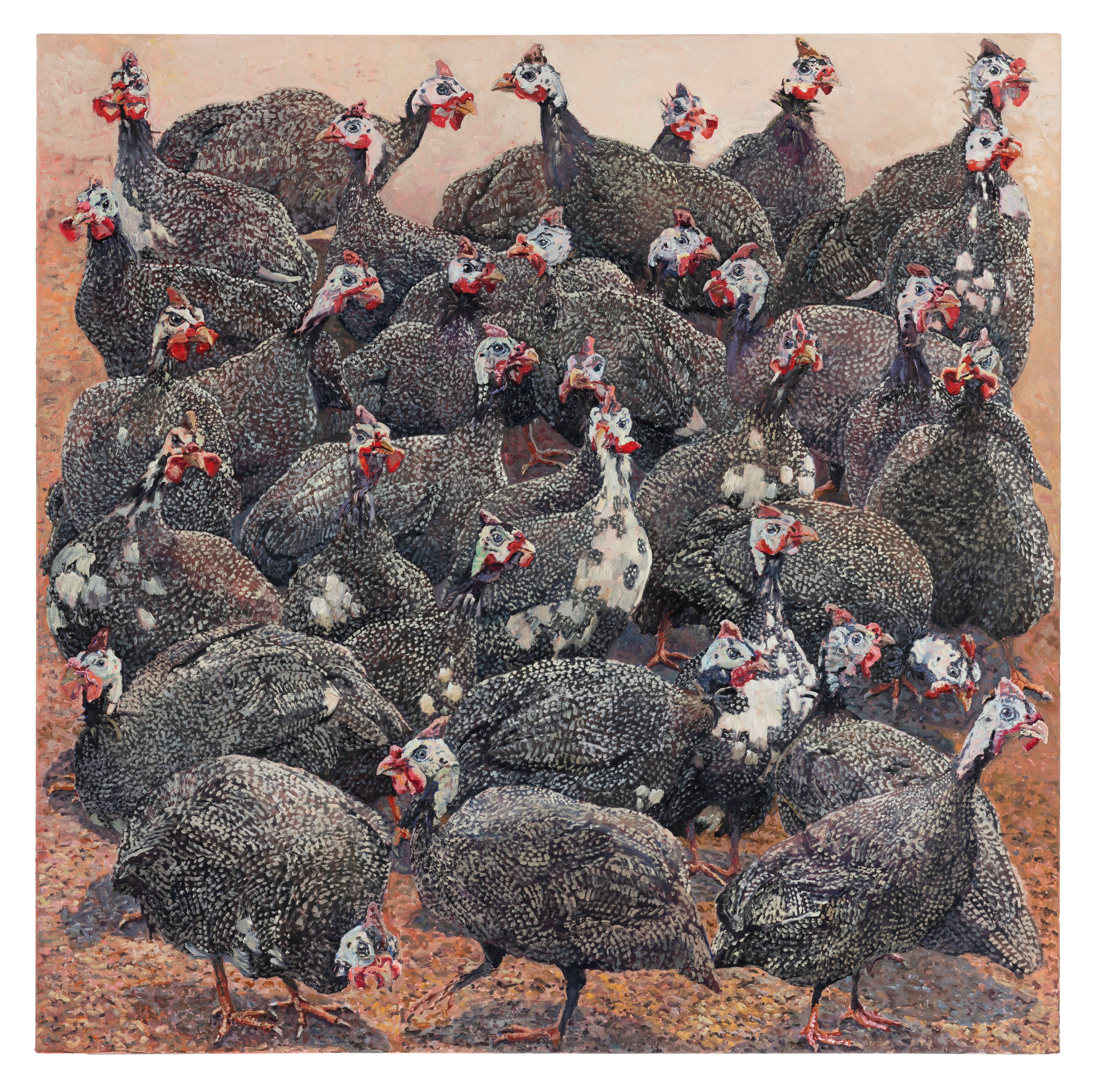 Lucy Culliton Guinea Fowl 2.jpg