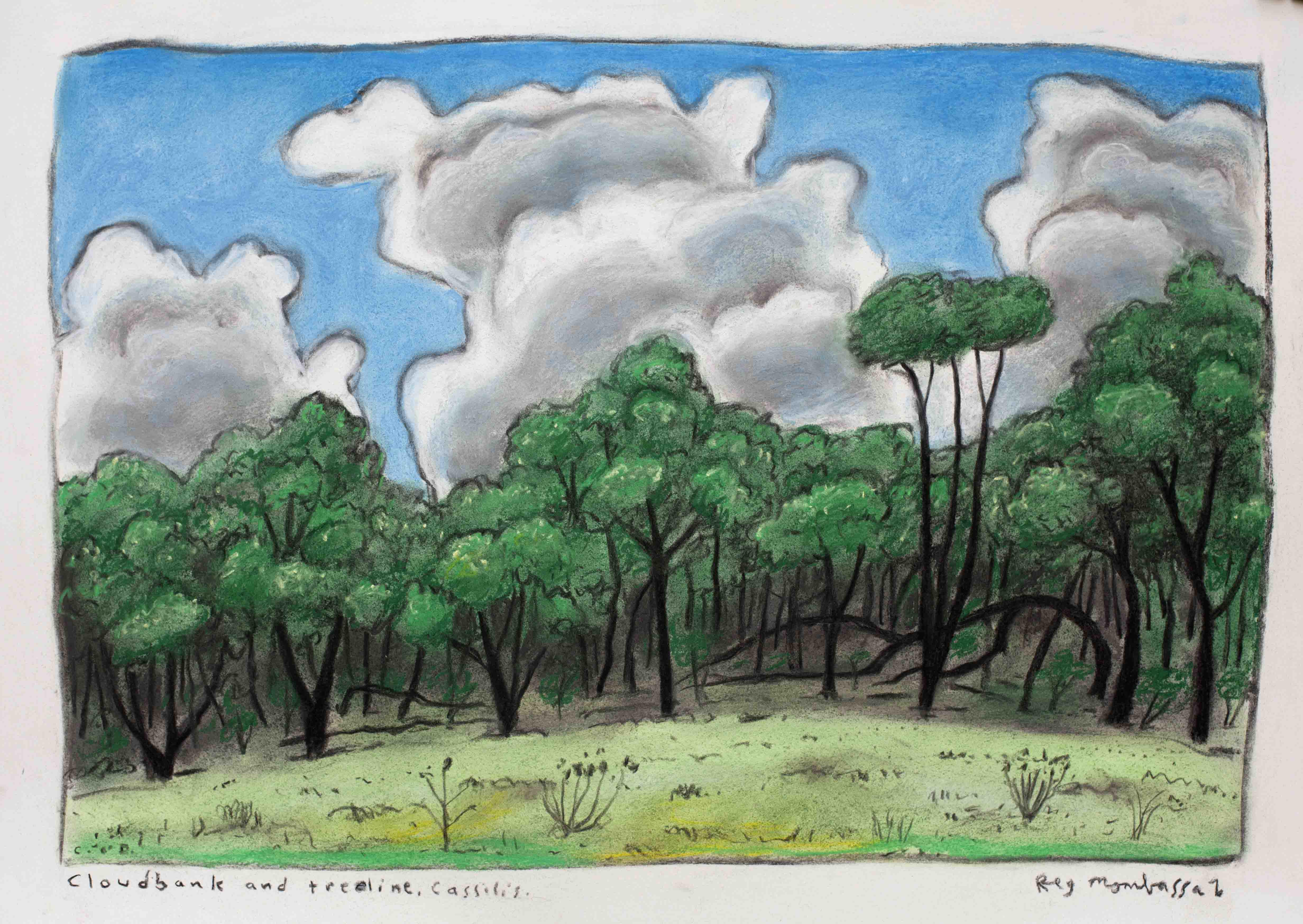 Reg-Mombassa-Cloudbank-and-treeline-Cassilis-2015.jpg