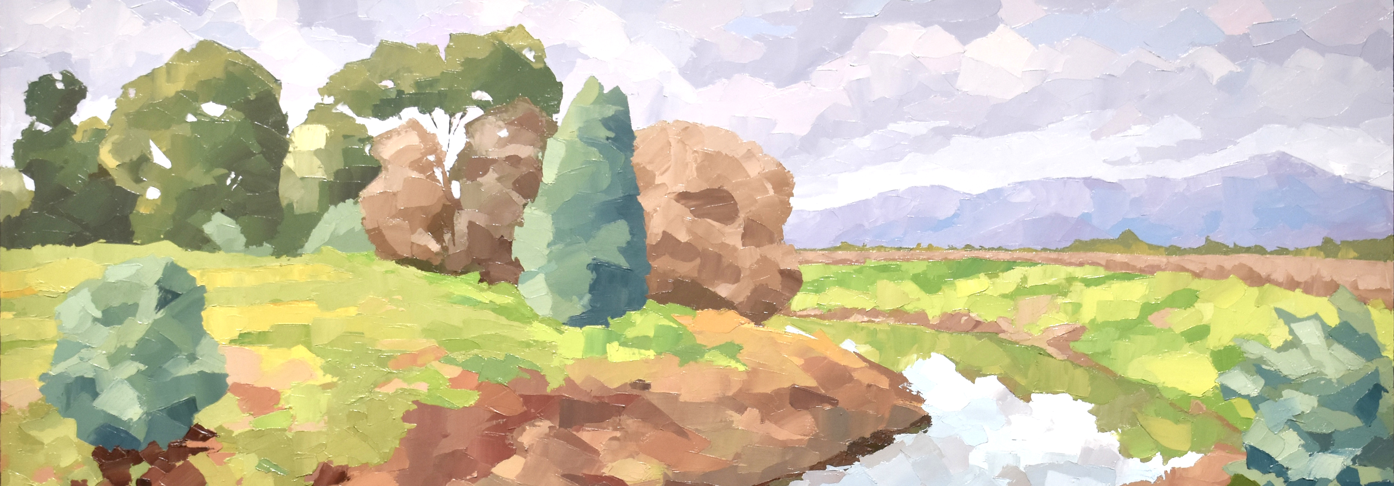 Cudgegong River at Putta Bucca, June_Detail.jpg